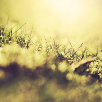 1920 x 1080 HD Wallpapers 136